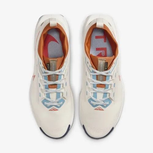 Кросівки Nike Pegasus Trail 5 GTX | FQ0908-003 FQ0908-003-45-store фото