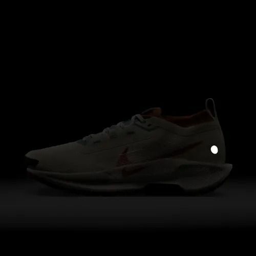 Кросівки Nike Pegasus Trail 5 GTX | FQ0908-003 FQ0908-003-45-store фото