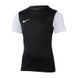 Підліткова футболка Nike Y NK DF TIEMPO PREM II JSY SS | DH8389-010 DH8389-010 фото 1