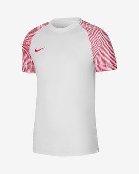 Футболка Nike Dri-FIT Academy | DH8369-100 DH8369-100 фото
