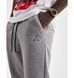 Чоловічий спортивний костюм Jordan Essentials Fleece | DQ7466-091_DQ7340-091 DQ7466-091_DQ7340-091 фото 3