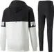 Чоловічий спортивний костюм Puma Power Colorblock | 670496-01__670425-01 фото 2