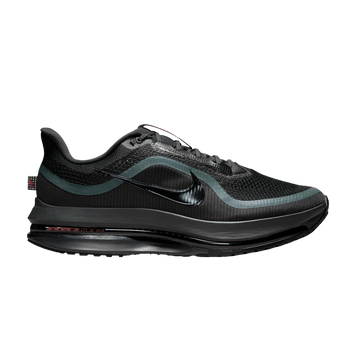 Чоловічі кросівки Nike Pegasus Premium 'Anthracite'| HQ2592-011 HQ2592-011 фото