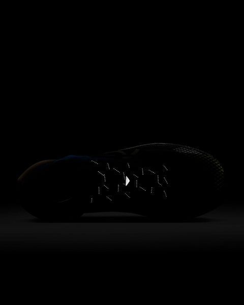 Кросівки unisex Nike React Pegasus Trail 4 GTX | DJ7926-003 DJ7926-003 фото