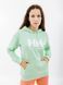 Жіночий худі HELLY HANSEN Logo | 33978-419 33978-419 фото 1