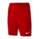 Чоловічі шорти Nike Park II Knit Short NB | 725887-657 фото 1