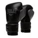 Боксерські рукавиці Everlast Powerlock 2R Training Gloves | P00002285