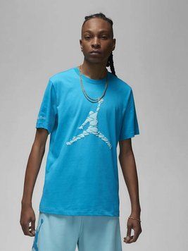 Чоловіча футболка Jordan Essentials Graphic T-Shirt | DX9581-483 DX9581-483 фото