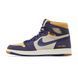 Кросівки Air Jordan 1 High Element GORE-TEX 'Sky J Purple'| DB2889-501 DB2889-501 фото 1